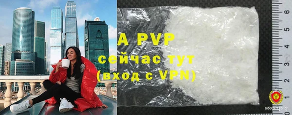 крисы Белокуриха