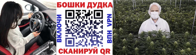 Бошки Шишки индика Горнозаводск